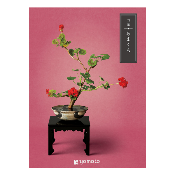 �J�^���O�M�t�g ���t ���܂���